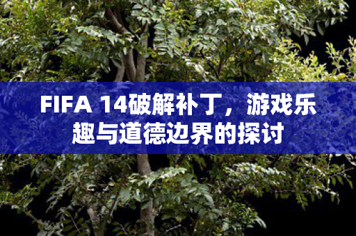 FIFA 14破解补丁，游戏乐趣与道德边界的探讨