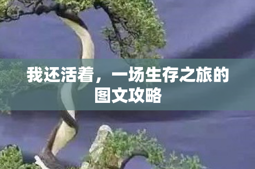 我还活着，一场生存之旅的图文攻略