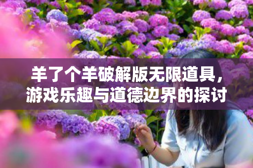 羊了个羊破解版无限道具，游戏乐趣与道德边界的探讨