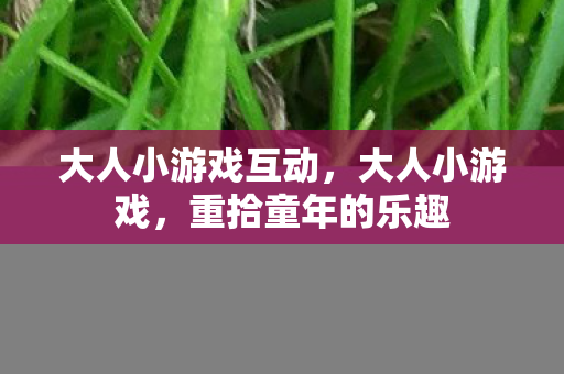 大人小游戏互动，大人小游戏，重拾童年的乐趣