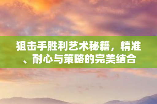 狙击手胜利艺术秘籍，精准、耐心与策略的完美结合