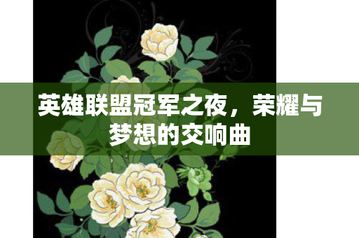 英雄联盟冠军之夜,荣耀与梦想的交响曲 英雄联盟冠军之夜,荣耀与梦想的交响曲