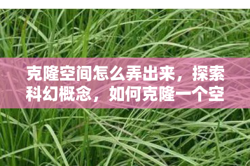 克隆空间怎么弄出来图片