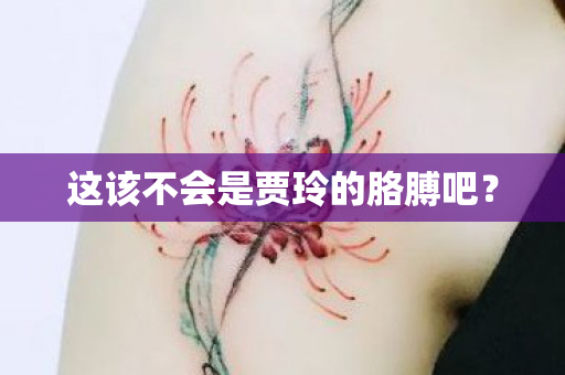 这该不会是贾玲的胳膊吧？