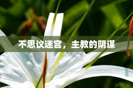 不思议迷宫，主教的阴谋