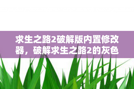 求生之路2破解版内置修改器,破解求生之路2的灰色地带,版权、道德与游戏社区的平衡 求生之路2破解版内置修改器,破解求生之路2的灰色地带,版权、道德与游戏社区的平衡