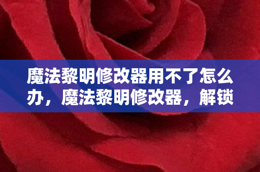 魔法黎明修改器用不了怎么办图片