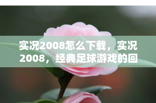 实况2008怎么下载，实况2008，经典足球游戏的回忆与传承