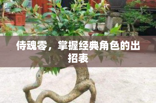 侍魂零,掌握经典角色的出招表 侍魂零,掌握经典角色的出招表