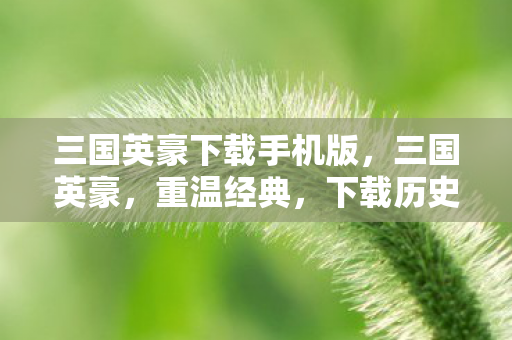 三国英豪下载手机版，三国英豪，重温经典，下载历史