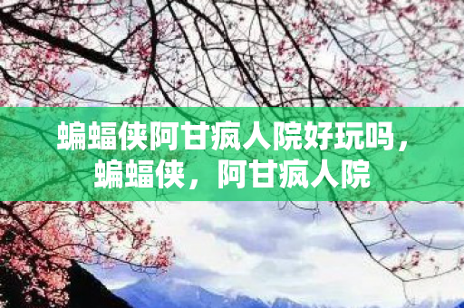 蝙蝠侠阿甘疯人院好玩吗，蝙蝠侠，阿甘疯人院