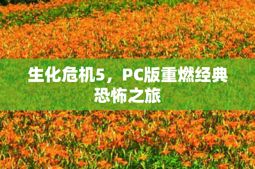 生化危机5，PC版重燃经典恐怖之旅