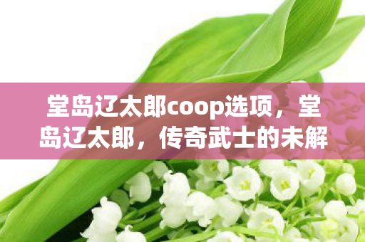 堂岛辽太郎coop选项，堂岛辽太郎，传奇武士的未解之谜