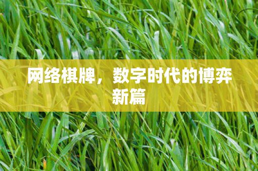 网络棋牌，数字时代的博弈新篇