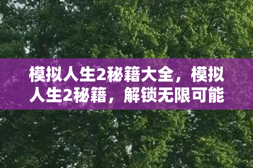 模拟人生2秘籍大全，模拟人生2秘籍，解锁无限可能，打造完美人生