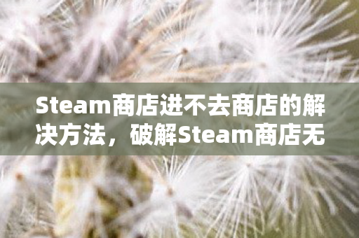 Steam商店进不去商店的解决方法图片