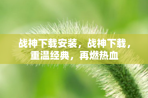 战神下载安装图片