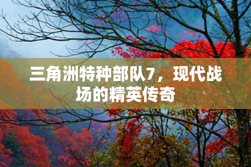 三角洲特种部队7，现代战场的精英传奇