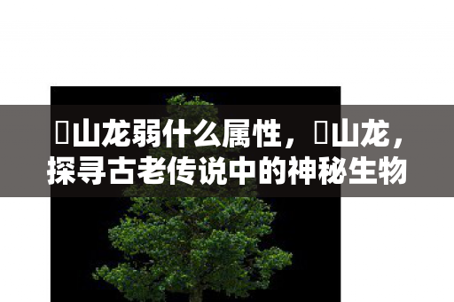 峯山龙弱什么属性，峯山龙，探寻古老传说中的神秘生物