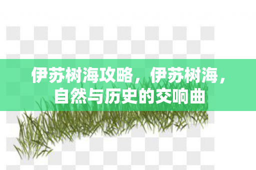 伊苏树海攻略，伊苏树海，自然与历史的交响曲