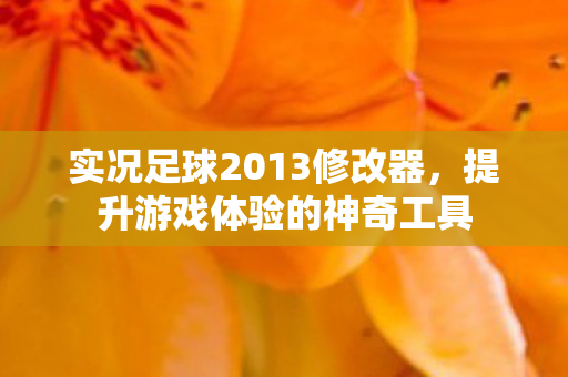 实况足球2013修改器图片
