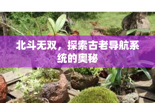 北斗无双，探索古老导航系统的奥秘