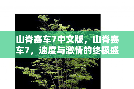 速度与激情的终极盛宴图片