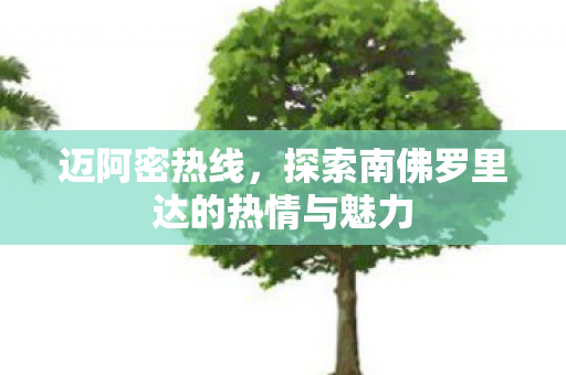 探索南佛罗里达的热情与魅力图片