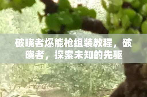 破晓者爆能枪组装教程，破晓者，探索未知的先驱