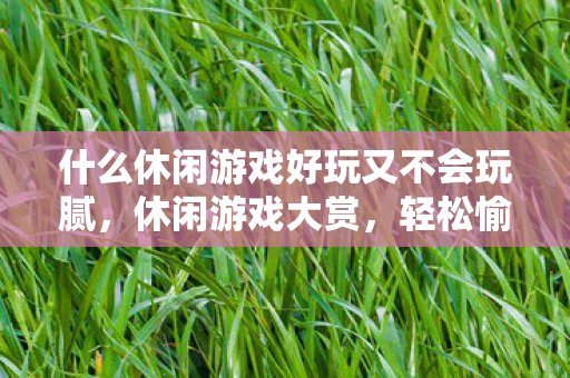 什么休闲游戏好玩又不会玩腻，休闲游戏大赏，轻松愉悦的选择