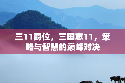 三11爵位，三国志11，策略与智慧的巅峰对决