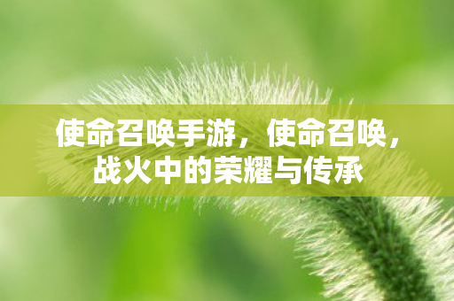 使命召唤手游，使命召唤，战火中的荣耀与传承