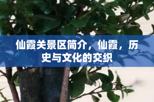 仙霞关景区简介，仙霞，历史与文化的交织