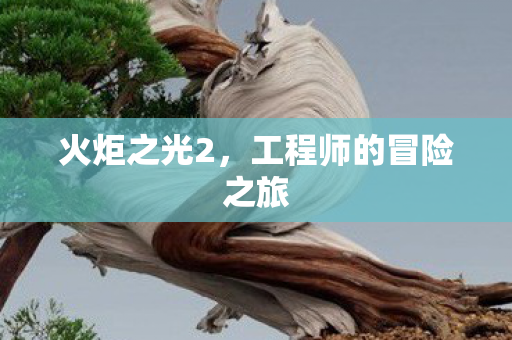 工程师的冒险之旅图片