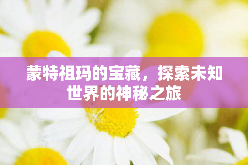 蒙特祖玛的宝藏，探索未知世界的神秘之旅