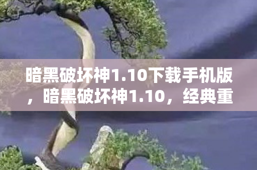 10下载手机版图片