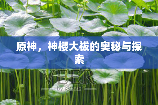 神樱大祓的奥秘与探索图片
