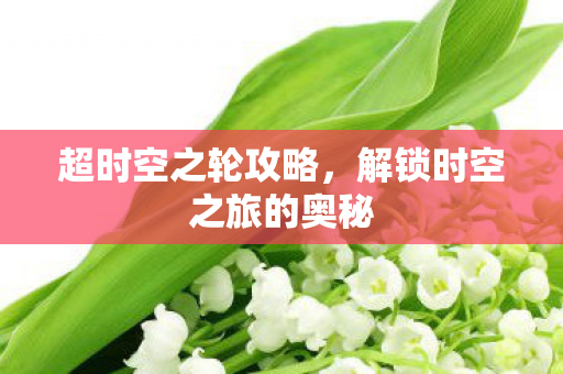 解锁时空之旅的奥秘图片