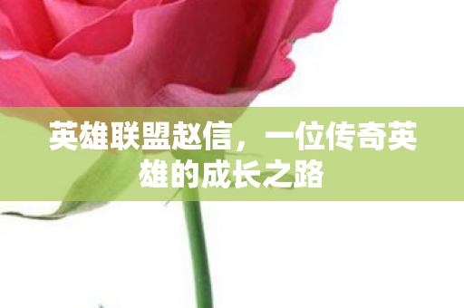 一位传奇英雄的成长之路图片