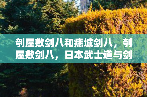 刳屋敷剑八和痣城剑八，刳屋敷剑八，日本武士道与剑术传奇