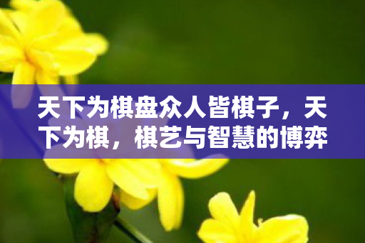 天下为棋盘众人皆棋子，天下为棋，棋艺与智慧的博弈