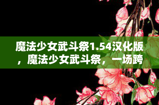 一场跨越次元的战斗盛宴图片