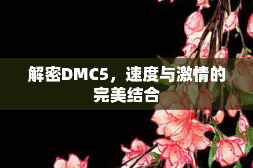 速度与激情的完美结合图片