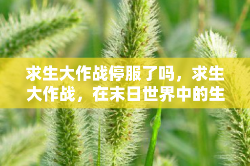 在末日世界中的生存智慧图片