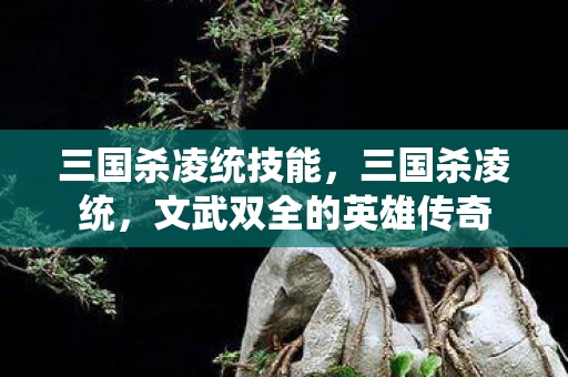 文武双全的英雄传奇图片