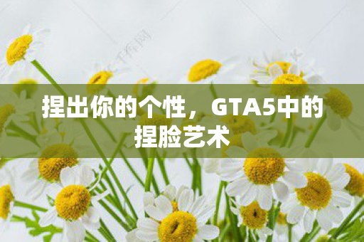 GTA5中的捏脸艺术图片
