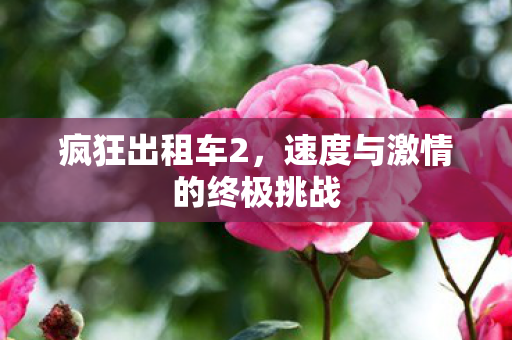 速度与激情的终极挑战图片
