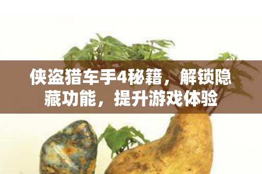 侠盗猎车手4秘籍图片