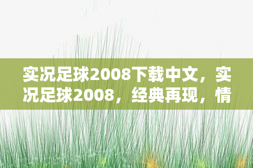 实况足球2008下载中文图片