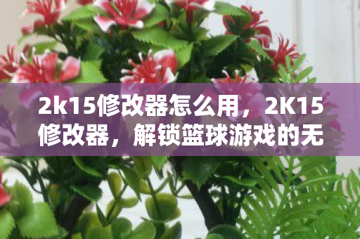 解锁篮球游戏的无限可能图片